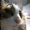 blinchiki_list