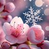 snowflake.cherryblossom