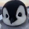 haungyougjun9876
