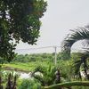 kualodemdeman