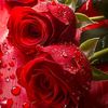 user30322182978748