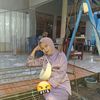 abelya21
