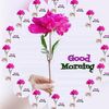 mdmirajulislam9159