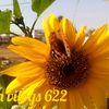 user131768486