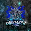 caretaker.esport