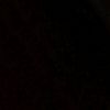 anisss.37