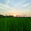 sadiya67548