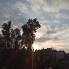 maroum68