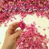 user9720901421092