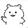 chi.chu777