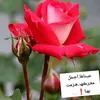 fatimaalrikaby3
