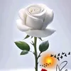 user1270407354731