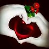 user2611774499038