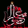 hassas313