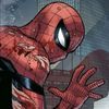 spidervecino18
