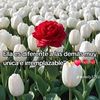 monicagonsalez3