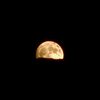 mool791