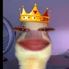 moceguinha59