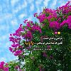 nila__09uvib