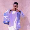 salifba588