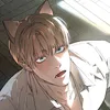 _vvlaws