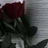 reem_mhmd_2011