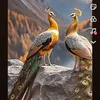 hakarry7