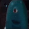 lebrons_nut