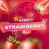 GTA5RP STRAWBERRY