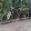 malide277
