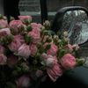 zuh_l2023