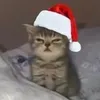 darkzin_134