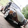 fusca_rat