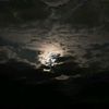 d10mond4