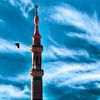 kamranahmad4251