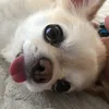 kskfkgrbrtr