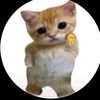 red_kitty26
