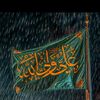 aun.shah854
