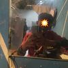 anaakkecil36