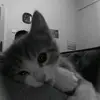 usermkdz