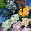 .kobir.hussain6