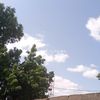 jeanne.djn229