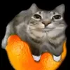 roccothekat3