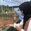 w.d._ghina.8.7