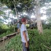 dennisaputra841