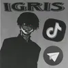igris_120_
