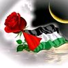 user125105541