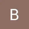 bj.nio.alvar