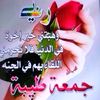 zaki02408
