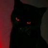 hadil.hdoula64